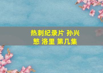 热刺纪录片 孙兴慜 洛里 第几集